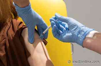 Senator urges Ottawa to support Canadian vaccine company awaiting funding
