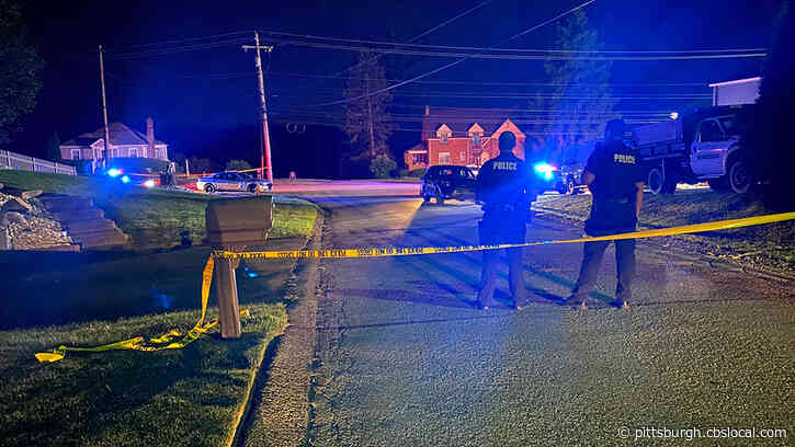 Standout Student Athlete Killed In Penn Twp. Motorcycle Crash