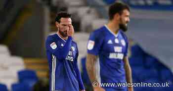 Cardiff City player ratings as shoddy defending proves costly