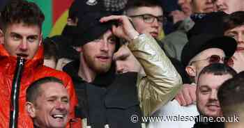 Oli McBurnie takes swipe at Cardiff City after play-off defeat to Fulham