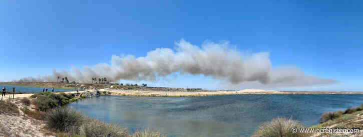 Bolsa Chica wetlands will recover from 62-acre fire, preservationist says