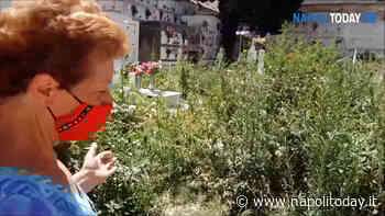 Cimitero di Miano: erba troppo alta, le tombe sono off limits - NapoliToday