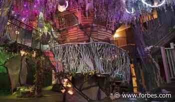 An Interactive Arts Space Reinvents Itself For The Post-COVID Era - Forbes