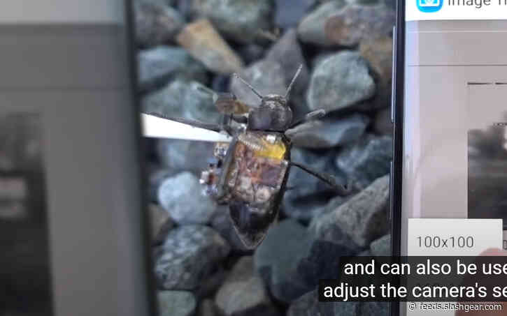 Beetle camera research shows turning tiny head better than whole body