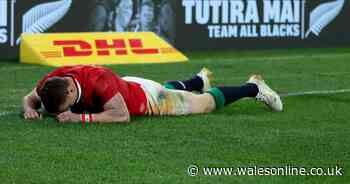 The gut-wrenching feeling of disappointment fuelling George North right now - Wales Online