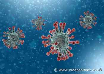 'The whole church has got it, just about': Alabama church revival results in dozens of coronavirus cases