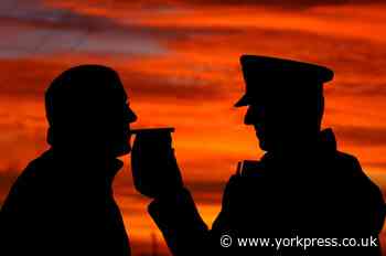 York economist banned from driving after getting sums wrong