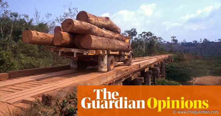 We are entering an era of pandemics – it will only end when we protect the rainforest | Peter Daszak