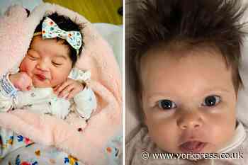 Meet York's lockdown babies with amazing long hair