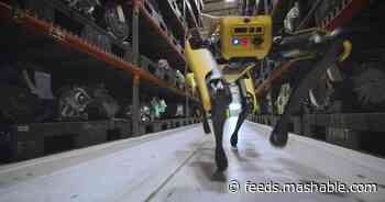 Oh, nothing, just Ford's robot dogs roaming the factory floor