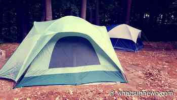 Four Rhode Island state campgrounds now open - What'sUpNewp