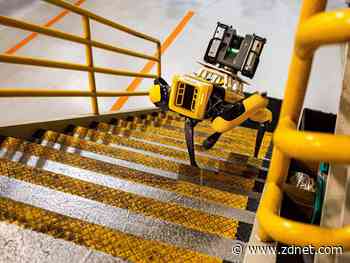 Ford fetches robot dogs to work in a factory