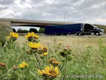 Texas man who fell to his death off Highway 401 overpass had been wanted for murder