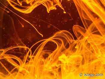 Watch live at 11 a.m. EDT: Inside America's hottest brands