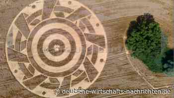 Bayern: Riesiges Kornkreiszeichen lockt hunderte Schaulustige an