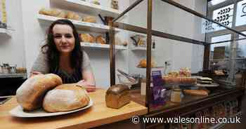 Businesses in Cardiff finding life difficult without students