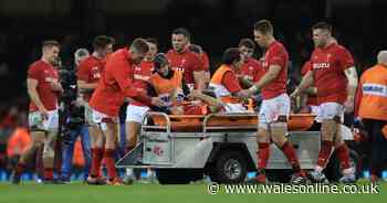 Injured Wales rugby players' likely return dates ahead of autumn games