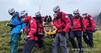 121-pound St. Bernard rescued from England’s tallest mountain