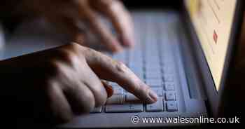 Housemates shared vile collection of child abuse images