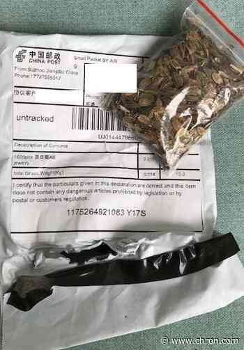 Do not plant these unsolicited mystery seeds from China, Texas officials warn