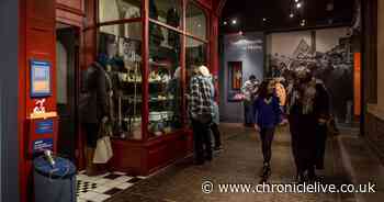 Free South Shields Museum & Art Gallery is set to make a splash on reopening
