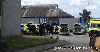 Armed police incident thought to be linked to 'baby being strangled' image