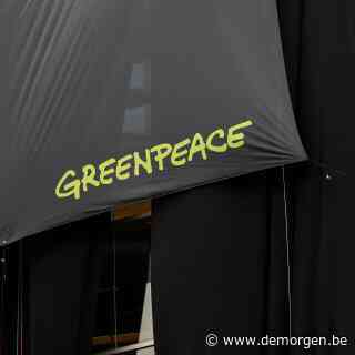 Vlaamse regering moet Greenpeace 265.000 euro omdat luchtkwaliteitsplan niet voldoet