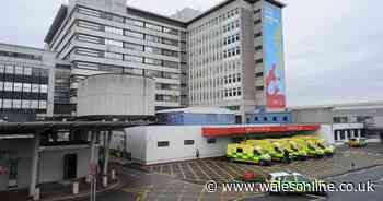 Hospital patient punched nurses and lashed out at paramedics
