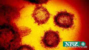 Darum gibt es fünf neue Corona-Infektionen in Dinslaken - NRZ