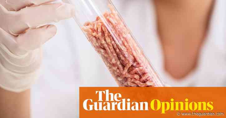 Petri dishes: is lab-grown meat a mass-market, environmentally sound food fix?