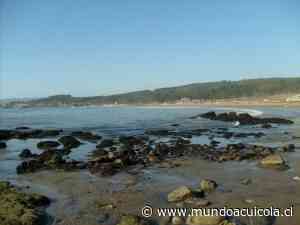Presentan querella criminal por contaminación de aguas en playa Blanca de Coronel - Mundo Acuícola