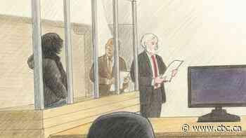 Kingston teen pleads guilty to 4 terrorism charges