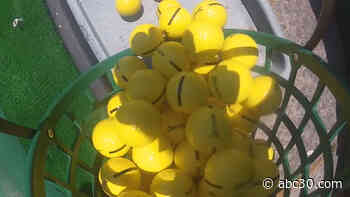 A day in the life of a golf ball collector