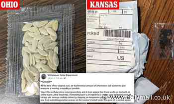 Plant seeds sent to US from China part of online review scam