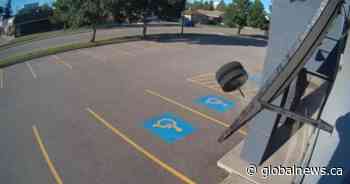 Wheelie bad luck: Rogue tires crash into Prince Albert business