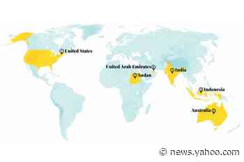 Progress watch: Where dolphins get a second chance at life