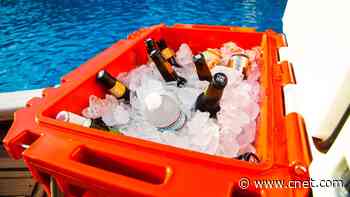 Best coolers of 2020: Cabela, Igloo, Yeti, Coleman and more     - CNET