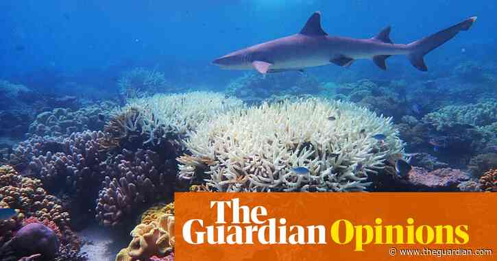Australia's Covid-19 response shows we can confront major crises. Threats to our planet should be next | Ian Chubb
