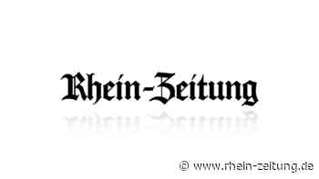 Pressebericht der PI Andernach für das Wochenende 17.07.2020 – 19.07.2020 - Blaulicht - Rhein-Zeitung