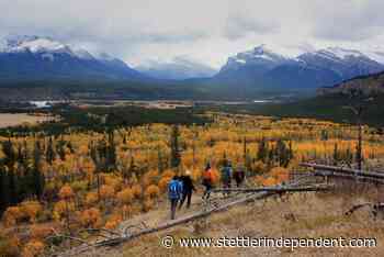 ‘Insane:’ Report details random camping stresses on Alberta wilderness - Stettler Independent