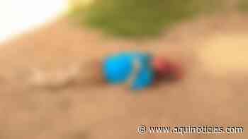 Homem é morto a machadadas pelo sobrinho em Muniz Freire - Aqui Notícias - www.aquinoticias.com