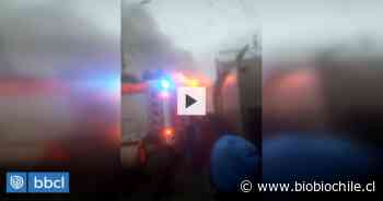 Incendio afectó a vivienda de población Villamar en Talcahuano: Una mujer resultó con lesiones - BioBioChile