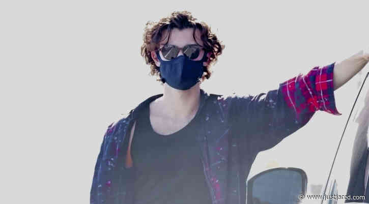 Shawn Mendes Stays Safe in a Mask While Out with Friends