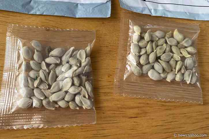 U.S. warns against planting unsolicited seeds from China