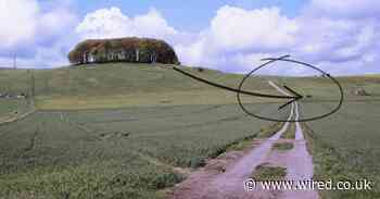Britain's big cat hunters won't quit searching for mystery animals