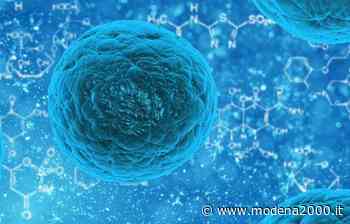 In lieve aumento i nuovi casi di Coronavirus, 11 i decessi - Modena 2000