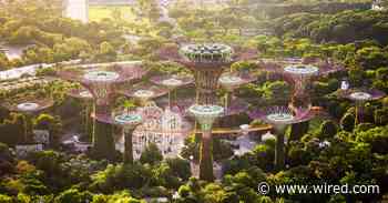 The Fantasy and the Cyberpunk Futurism of Singapore