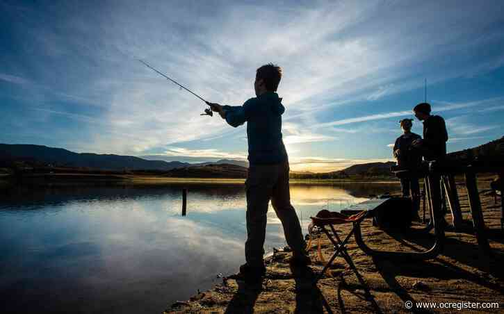 Trout disease in hatcheries leads to lack of the fish in area lakes
