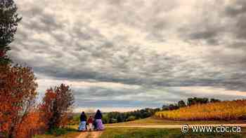 Stigmatizing Hutterites about COVID-19 will harm response: public health officer