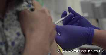 Volunteers needed for Covid-19 vaccine trials - this is how to take part